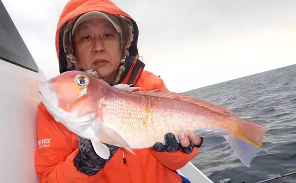 「沖五目釣りでクーラーボックス2個満タン釣果！【第二大福丸】レンコにアオナが好調」の画像