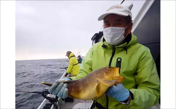 「沖五目釣りでクーラーボックス2個満タン釣果！【第二大福丸】レンコにアオナが好調」の画像