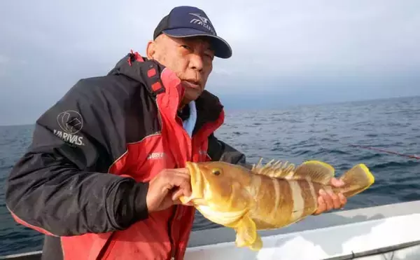 「沖五目釣りでクーラーボックス2個満タン釣果！【第二大福丸】レンコにアオナが好調」の画像