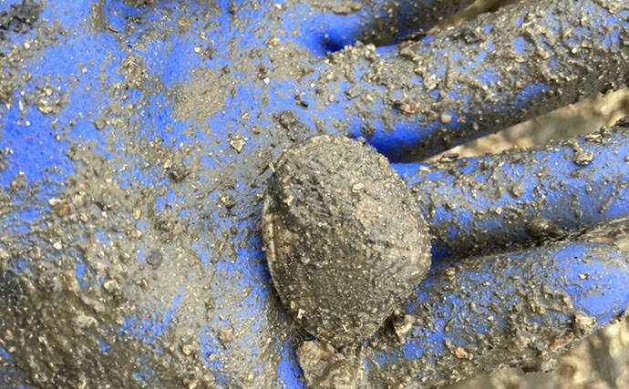 潮干狩りの最新トレンドは「ハシゴ」？　メリットと楽しみ方を紹介