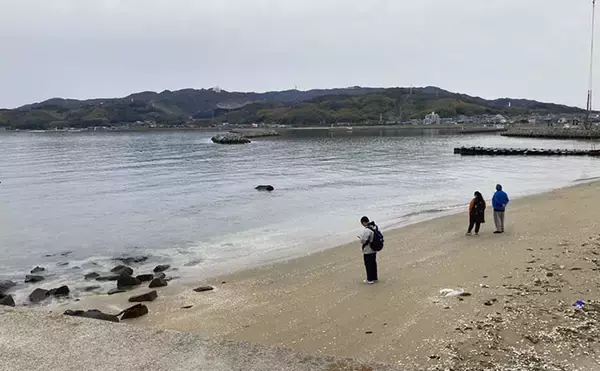 「潮干狩りの最新トレンドは「ハシゴ」？　メリットと楽しみ方を紹介」の画像