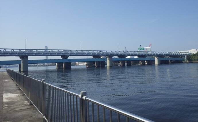 「ベテラン釣り師が厳選！」神奈川県のおすすめハゼ釣り場５選を難易度別に紹介