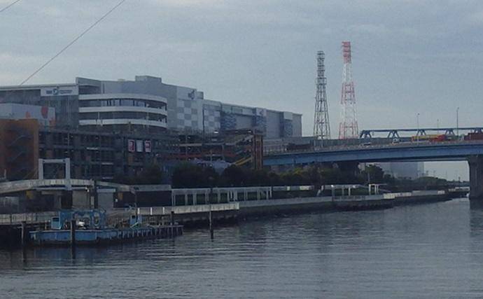 海老川河口のハゼ釣りでマハゼ16匹【千葉】釣れるポイントは限定的か？