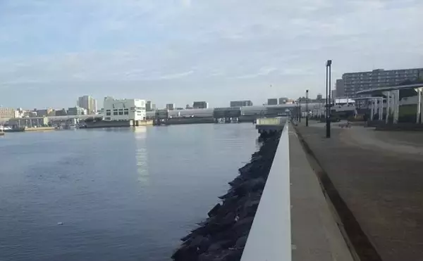 「海老川河口のハゼ釣りでマハゼ16匹【千葉】釣れるポイントは限定的か？」の画像