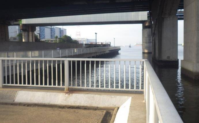 海老川河口のハゼ釣りでマハゼ16匹【千葉】釣れるポイントは限定的か？