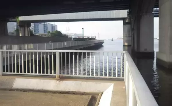 「海老川河口のハゼ釣りでマハゼ16匹【千葉】釣れるポイントは限定的か？」の画像