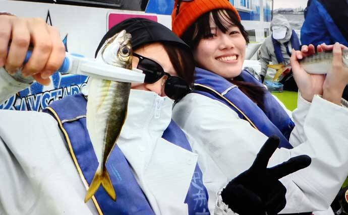 東京湾の午前LTアジ釣り便でトップ45尾キャッチ！【神奈川】家族連れも連発で大盛況