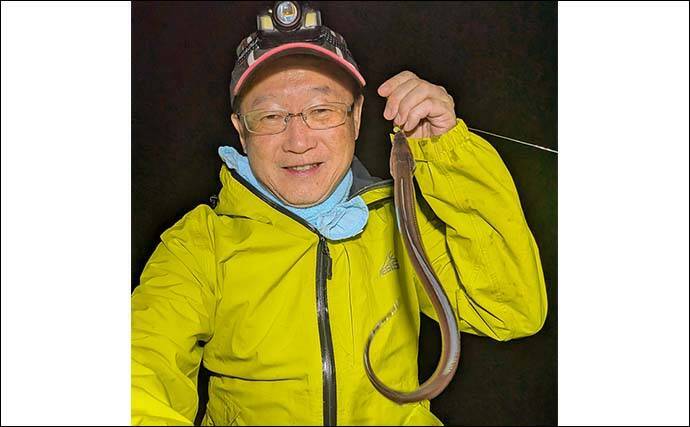 大野海岸周辺の夜投げ釣りでアナゴ5匹キャッチ【愛知】良型カサゴもヒット