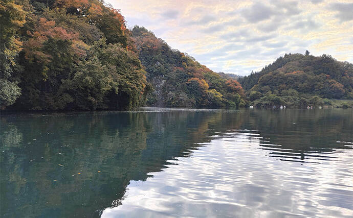 相模湖のボートワカサギ釣りで213尾手中！【神奈川】仕掛け変更と拾い釣り戦略が奏功