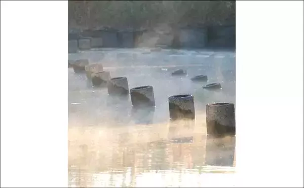 「吉田康雄のザ・チャレンジへらぶな【放流日の翌日ってどうよ！？#2】」の画像