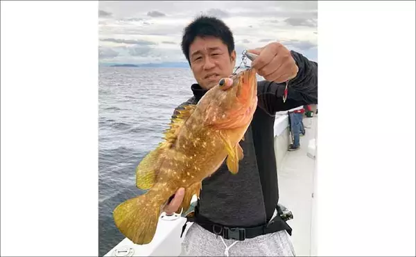 「響灘のスロージギングで良型アコウ＆ボッコ手中【山口】軽めジグのフォールが連発のカギに」の画像