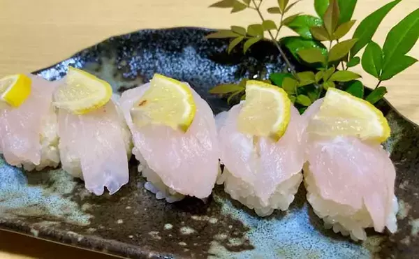 「響灘のスロージギングで良型アコウ＆ボッコ手中【山口】軽めジグのフォールが連発のカギに」の画像