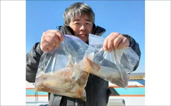 「初心者でも分かる船ヤリイカ釣り入門　タックル・仕掛け・誘い方の基本」の画像