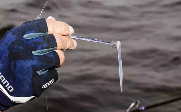 「初心者でも分かる船ヤリイカ釣り入門　タックル・仕掛け・誘い方の基本」の画像