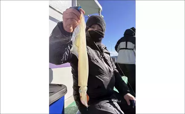 「初心者でも分かる船ヤリイカ釣り入門　タックル・仕掛け・誘い方の基本」の画像