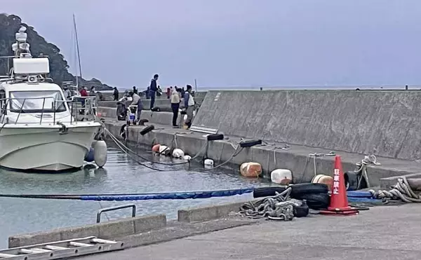 「堤防ライトルアー釣りでカマス4尾【千葉・富浦新港】ただ巻きとシャクリ織り混ぜ手中」の画像