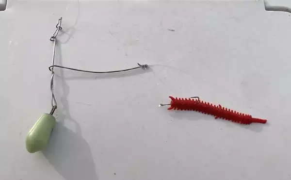 「赤須賀漁港のちょい投げ釣りでハゼ20匹を手中【三重】パワーミニイソメに好反応」の画像