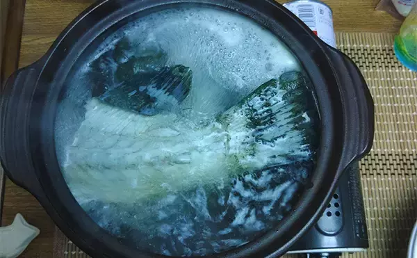 「「贅沢すぎる釣り魚鍋になっちゃった！」 食材確保のロックゲームでクエにチャイロマルハタ手中」の画像