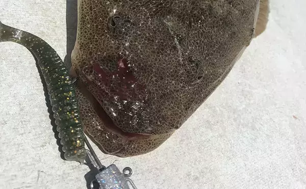 「春イカ狙いエギングタックルを使って楽しむ夏の釣りのススメ　汎用性はかなり高いぞ！」の画像