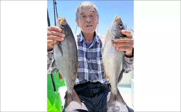 「島原沖でマダコ釣りが順調！5kg交え70尾以上の日も【船釣り最新情報5選・大分／熊本】」の画像