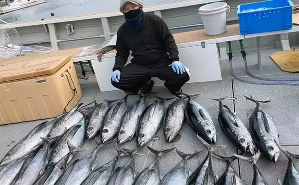 「トンジギ釣行でマグロ2桁の大爆釣【三重・勝丸】 船内クーラー満タンで早上がり」の画像