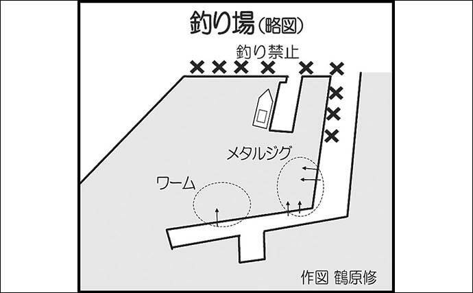 馬渡島でのデイアジング釣行で26cm級アジが連発【佐賀】日陰のポイントを狙い撃ち