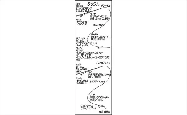 「馬渡島でのデイアジング釣行で26cm級アジが連発【佐賀】日陰のポイントを狙い撃ち」の画像