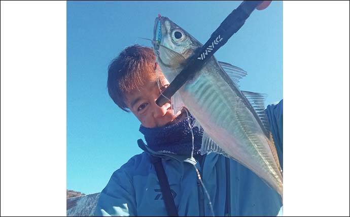 馬渡島でのデイアジング釣行で26cm級アジが連発【佐賀】日陰のポイントを狙い撃ち