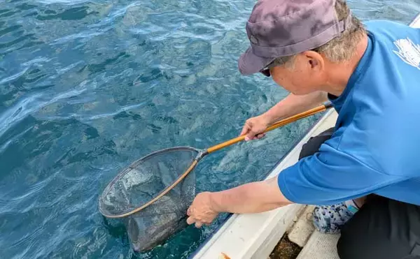 「「1kg超え大型アオリイカ連発！」キャスティングエギングでシャロー攻略のコツを実釣解説【三重】」の画像