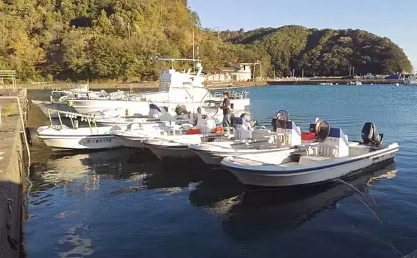 「「1kg超え大型アオリイカ連発！」キャスティングエギングでシャロー攻略のコツを実釣解説【三重】」の画像