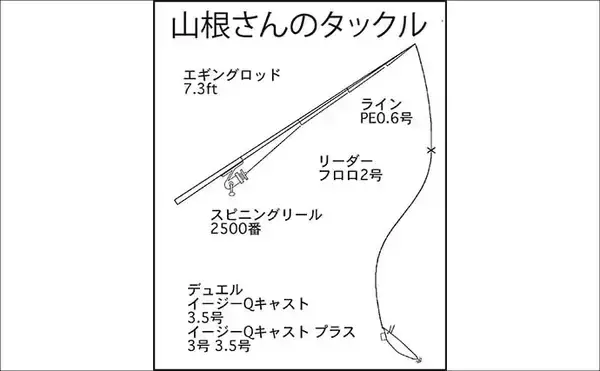 「「1kg超え大型アオリイカ連発！」キャスティングエギングでシャロー攻略のコツを実釣解説【三重】」の画像