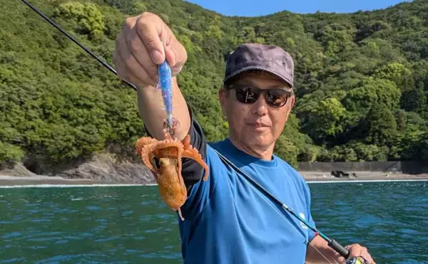 「「1kg超え大型アオリイカ連発！」キャスティングエギングでシャロー攻略のコツを実釣解説【三重】」の画像