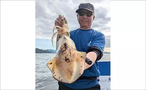 「「1kg超え大型アオリイカ連発！」キャスティングエギングでシャロー攻略のコツを実釣解説【三重】」の画像