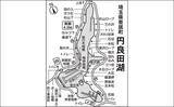 「今週のヘラブナ「ピックアップ」釣り場2026【埼玉・円良田湖】」の画像2