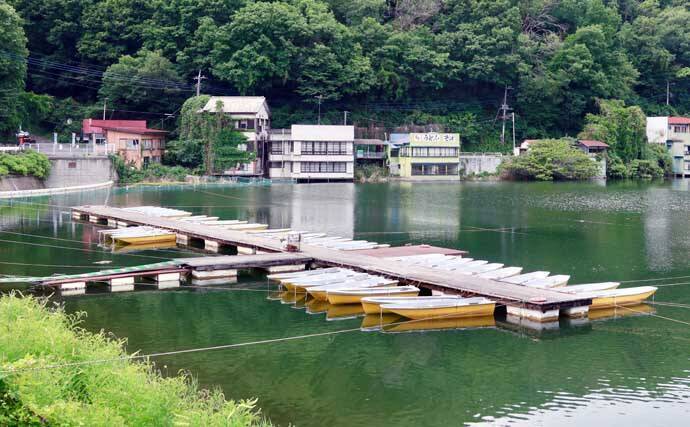 今週のヘラブナ「ピックアップ」釣り場2026【埼玉・円良田湖】