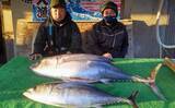 「【三重】沖のルアーの最新釣果　トンボジギング数釣りシーズンに突入」の画像1