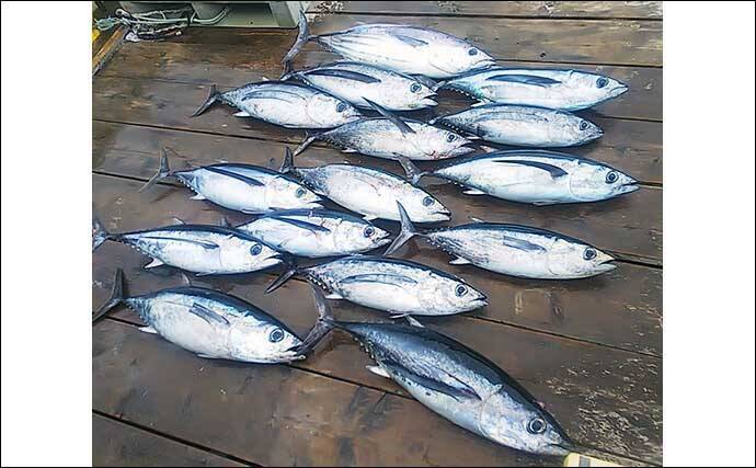 【三重】沖のルアーの最新釣果　トンボジギング数釣りシーズンに突入