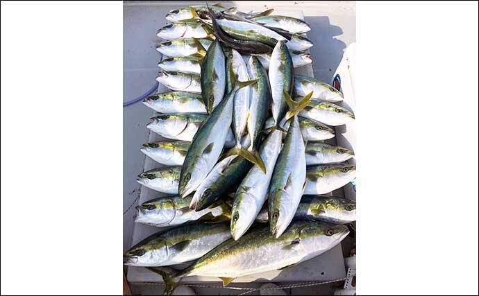 【三重】沖のルアーの最新釣果　トンボジギング数釣りシーズンに突入