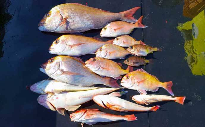 【三重】沖のルアーの最新釣果　トンボジギング数釣りシーズンに突入