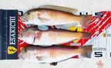 「【三重】沖のルアーの最新釣果　トンボジギング数釣りシーズンに突入」の画像6
