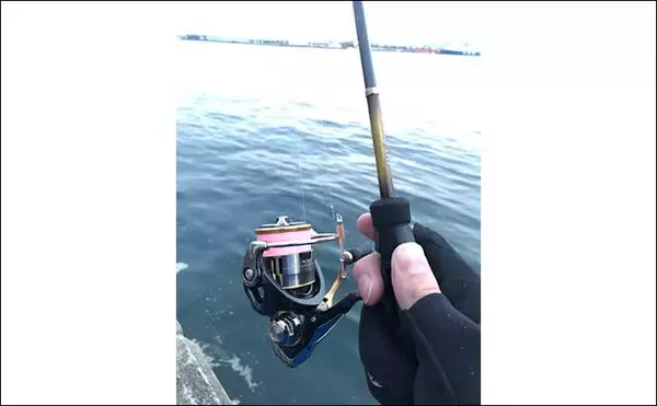 「ライトゲームにおける【ロッド選びを価格帯から考える】　上限は3万円？」の画像