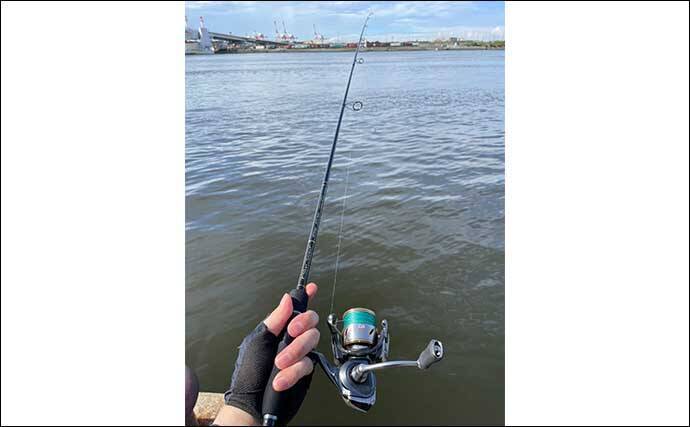 ライトゲームにおける【ロッド選びを価格帯から考える】　上限は3万円？