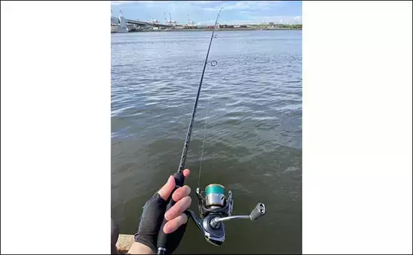 「ライトゲームにおける【ロッド選びを価格帯から考える】　上限は3万円？」の画像