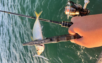 平日の有休活かした堤防アジング釣行で本命にカマス【和歌山・紀北】強風に苦戦