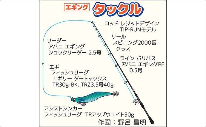 ティップランエギング入門ガイド【神奈川・真鶴】秋の相模湾で始める最初の一歩