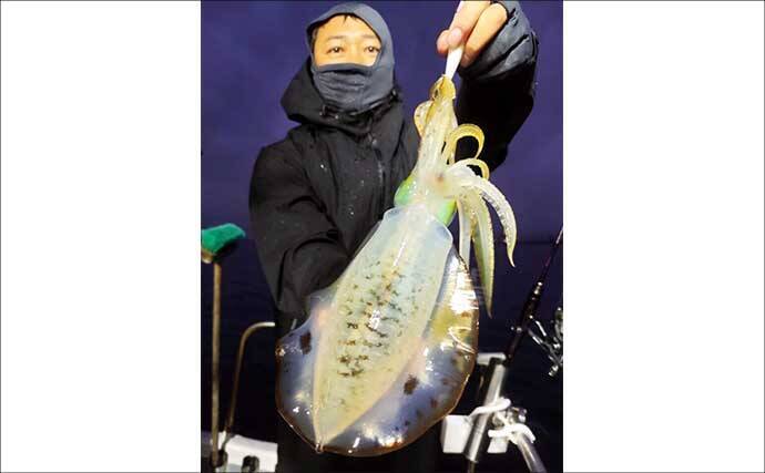 【沖釣り釣果速報】竿頭は24匹！越前沖のナイトティップランで良型交じりにアオリイカ爆釣（北陸）