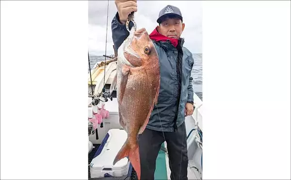「【沖釣り釣果速報】竿頭は24匹！越前沖のナイトティップランで良型交じりにアオリイカ爆釣（北陸）」の画像