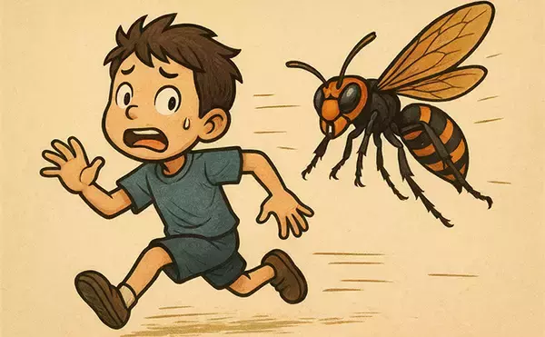 「野池でのブラックバス釣りはスズメバチに注意？　釣り場には想像を超える危険も存在」の画像