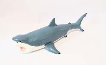 古代の巨大ザメ＜メガロドン＞の生存を脅かした古代生物　全長10m超のライバルたち