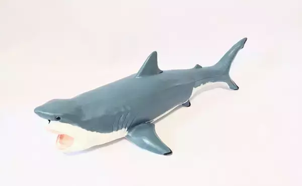 古代の巨大ザメ＜メガロドン＞の生存を脅かした古代生物　全長10m超のライバルたち